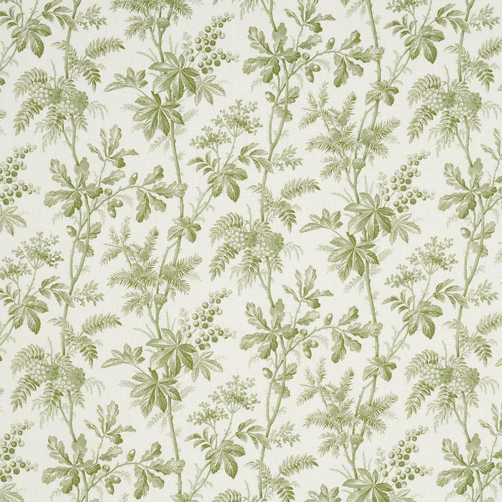 Brantwood Vine Leaf 174114 by Schumacher Designer Fabric A Country Life 18.0" - Swanky Fabrics -