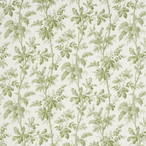 Brantwood Vine Leaf 174114 by Schumacher Designer Fabric