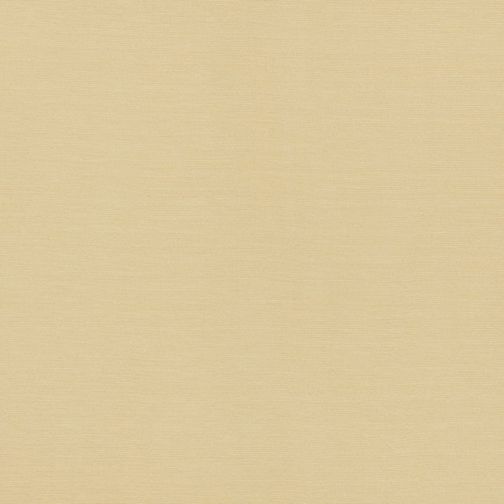 Lampedusa Ecru 70941 by Schumacher Designer Fabric Riviera 100% Solution Martindale 12,000 Horizontal: - and Vertical: - 57 - Swanky Fabrics -