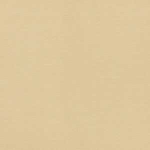 Lampedusa Ecru 70941 by Schumacher Designer Fabric