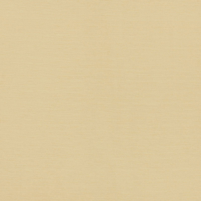 Lampedusa Ecru 70941 by Schumacher Fabric Schumacher Fabric Lampedusa Ecru 70941Fabric SOLUTION DYED ACRYLIC 100% ITALY </p><p>Repeat: H: , V: 57 - Fabric Carolina -