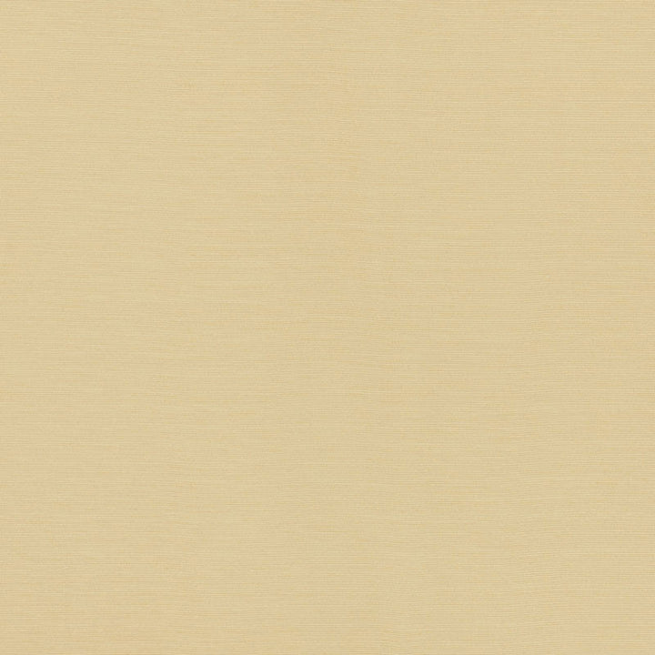 Lampedusa Ecru 70941 by Schumacher Fabric Schumacher Fabric Lampedusa Ecru 70941Fabric SOLUTION DYED ACRYLIC 100% ITALY </p><p>Repeat: H: , V: 57 - Fabric Carolina -