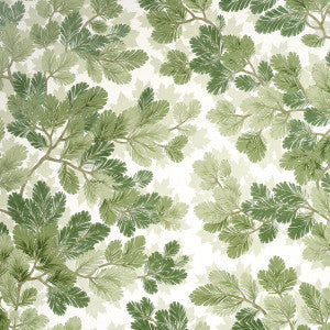 Covey Hedge Sage 5016072 by Schumacher Designer Wallpaper
