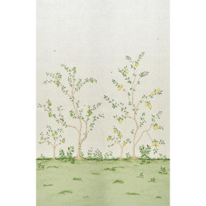Citrus Blossom 2 Cream 5017160 by Schumacher Designer Wallpaper