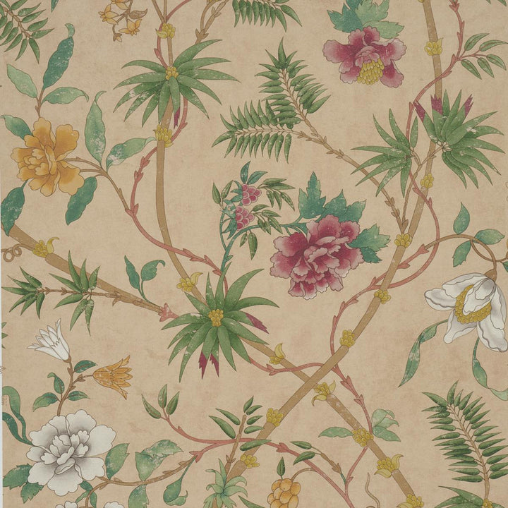 Arasi Botanical Coral 5017170 by Schumacher Designer Wallpaper Botanical Garden 27.0" - Swanky Fabrics -