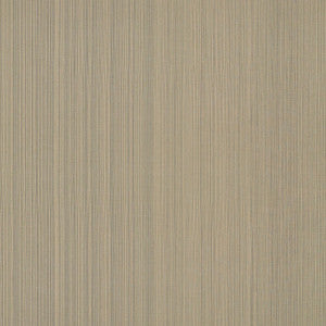 Poetto Strie Rattan 71003 by Schumacher Designer Fabric
