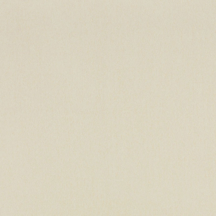 Trapani Oyster 71010 by Schumacher Designer Fabric RIVIERA INDOOR/OUTDOOR SOLUTION DYED ACRYLIC 100% ITALY MARTINDALE 26,000 </p><p>Repeat: Horizontal: and Vertical: 59 - Swanky Fabrics -