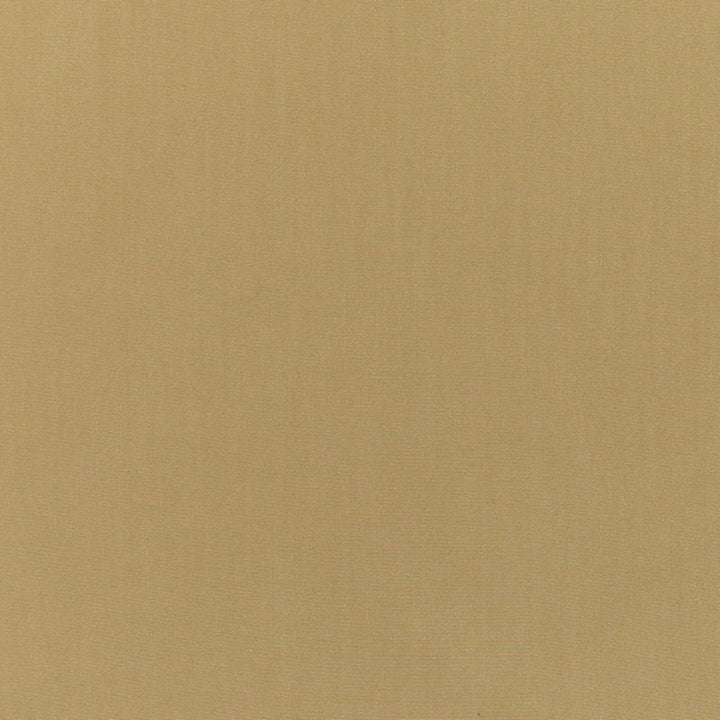 Ravello Khaki 71046 by Schumacher Designer Fabric Riviera 100% Solution Wyzenbeek 30,000 Horizontal: - and Vertical: - 59 - Swanky Fabrics -