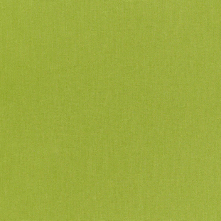 Ravello Sprig 71069 by Schumacher Designer Fabric RIVIERA INDOOR/OUTDOOR SOLUTION DYED ACRYLIC 100% ITALY MARTINDALE 17,000 </p><p>Repeat: Horizontal: and Vertical: 59 - Swanky Fabrics -