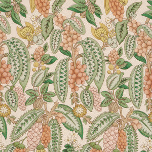 Fruits De Saison Apricot 182482 by Schumacher Designer Fabric