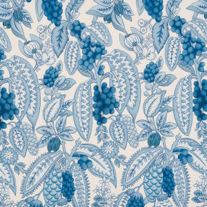 Fruits De Saison Mditerrane 182480 by Schumacher Designer Fabric
