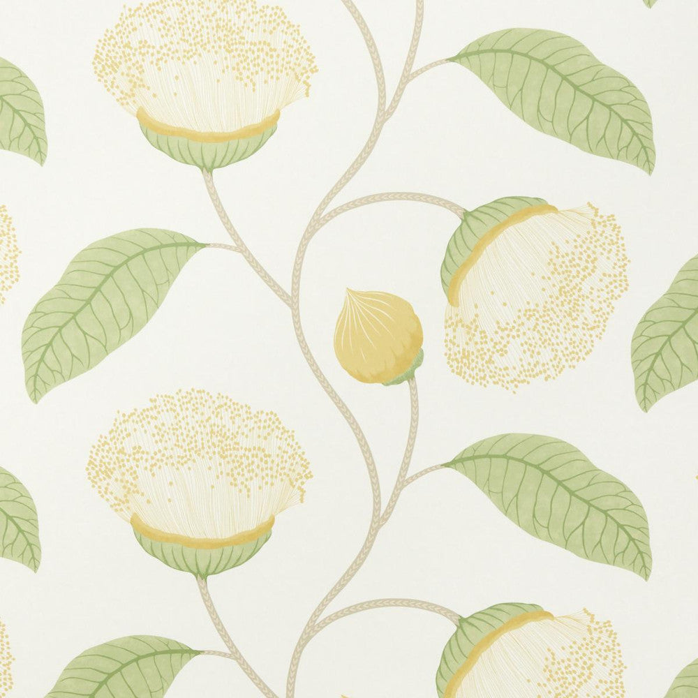 Celinda Citrus 5016362 by Schumacher Designer Wallpaper A Love Affair 18.0" - Swanky Fabrics -