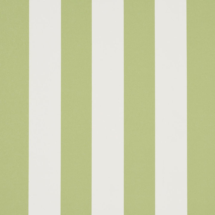 Emma Stripe Leaf 5017215 by Schumacher Designer Wallpaper Perennial Favorites 2.5" - Swanky Fabrics -