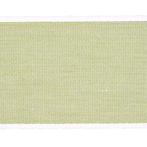 Sandpiper Tape Wide Green 79384 by Schumacher Designer Trim