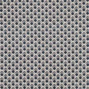 Morgan Onyx 71170 by Schumacher Designer Fabric