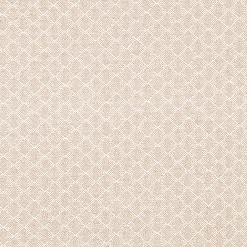Morgan Pearl Grey 71171 by Schumacher Designer Fabric Essentials-Luxe-Upholstery 62% Viscose, 33% Cotton, 5% Polyester Wyzenbeek 27,000 Horizontal: 1.75 and Vertical: 1.5 55 - Swanky Fabrics -