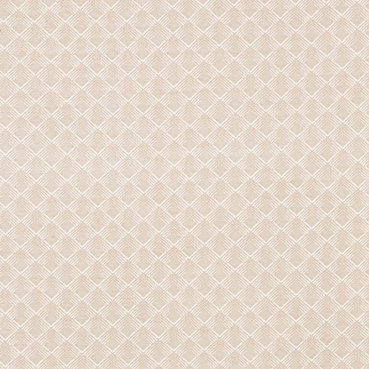 Morgan Pearl Grey 71171 by Schumacher Designer Fabric Essentials-Luxe-Upholstery 62% Viscose, 33% Cotton, 5% Polyester Wyzenbeek 27,000 Horizontal: 1.75 and Vertical: 1.5 55 - Swanky Fabrics -