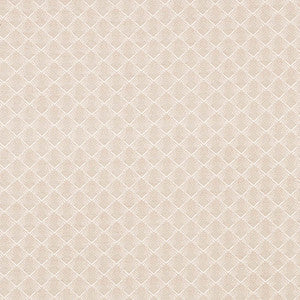 Morgan Pearl Grey 71171 by Schumacher Designer Fabric