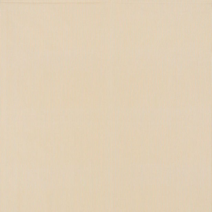 Edie Stripe Sand 71301 by Schumacher Designer Fabric Essentials-Classic-Stripes 100% Cotton - Horizontal: 3/8- and Vertical: - 55 - Swanky Fabrics -
