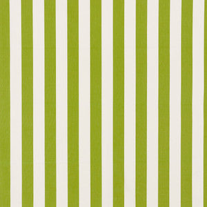 Andy Stripe Green 71326 by Schumacher Designer Fabric