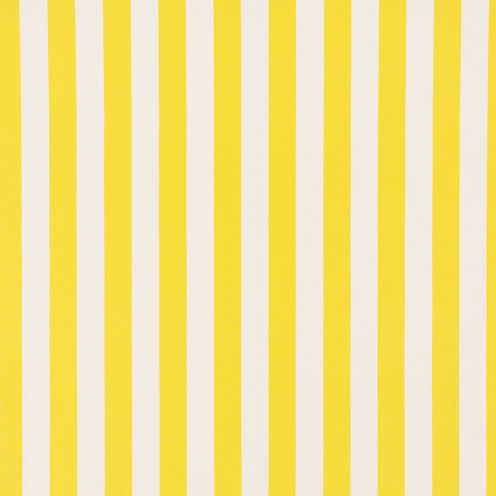 Andy Stripe Yellow 71327 by Schumacher Designer Fabric Essentials-Classic-Stripes 100% Cotton - Horizontal: 5.5 and Vertical: - 55 - Swanky Fabrics -