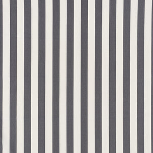 James Stripe Charcoal 71350 by Schumacher Designer Fabric