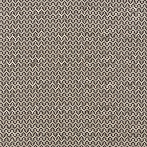 Anatole Charcoal 71602 by Schumacher Designer Fabric