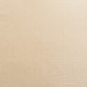 Ashton Champagne 71621 by Schumacher Designer Fabric