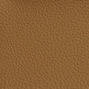 7173 Palomino by Charlotte Designer Fabric