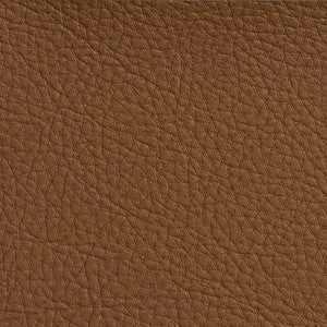 7176 Rawhide by Charlotte Designer Fabric