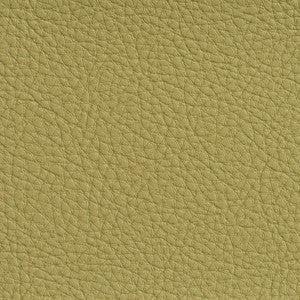 7181 Pesto by Charlotte Designer Fabric