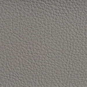 7185 Pewter by Charlotte Designer Fabric