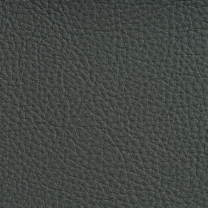 7188 Coal by Charlotte Designer Fabric Heavy Duty Soft Touch Vinyl II 100% Virgin Vinyl, 30oz. Asia Exceeds 200,000 Wyzenbeek Rubs (Heavy Duty) No Repeat 54 Inches - Swanky Fabrics -