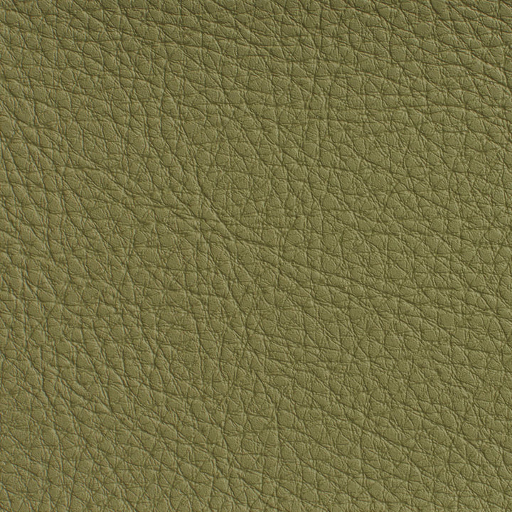 7191 Sage by Charlotte Designer Fabric Heavy Duty Soft Touch Vinyl II 100% Virgin Vinyl, 30oz. Asia Exceeds 200,000 Wyzenbeek Rubs (Heavy Duty) No Repeat 54 Inches - Swanky Fabrics -