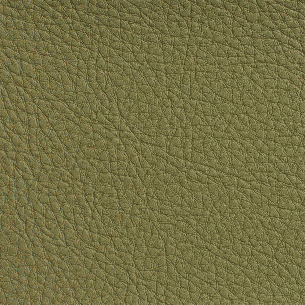 7191 Sage by Charlotte Designer Fabric Heavy Duty Soft Touch Vinyl II 100% Virgin Vinyl, 30oz. Asia Exceeds 200,000 Wyzenbeek Rubs (Heavy Duty) No Repeat 54 Inches - Swanky Fabrics -
