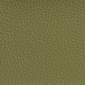 7191 Sage by Charlotte Designer Fabric