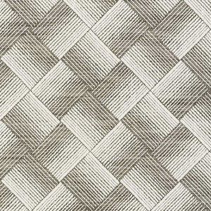 Ashberg Charcoal 72141 by Schumacher Designer Fabric
