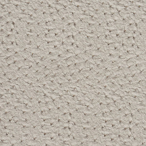 7233 Fog by Charlotte Designer Fabric