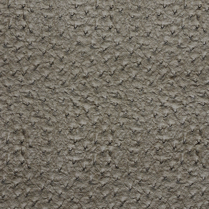7273 Pewter by Charlotte Designer Fabric Exotics 100% Virgin Vinyl, 34oz. Asia Exceeds 200,000 Wyzenbeek Rubs (Heavy Duty) No Repeat 54 Inches - Swanky Fabrics -