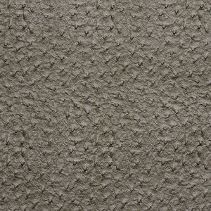 7273 Pewter by Charlotte Designer Fabric