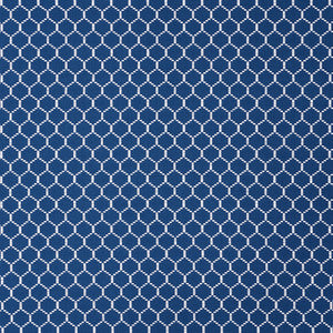 Fishnet Marine 73093 by Schumacher Designer Fabric