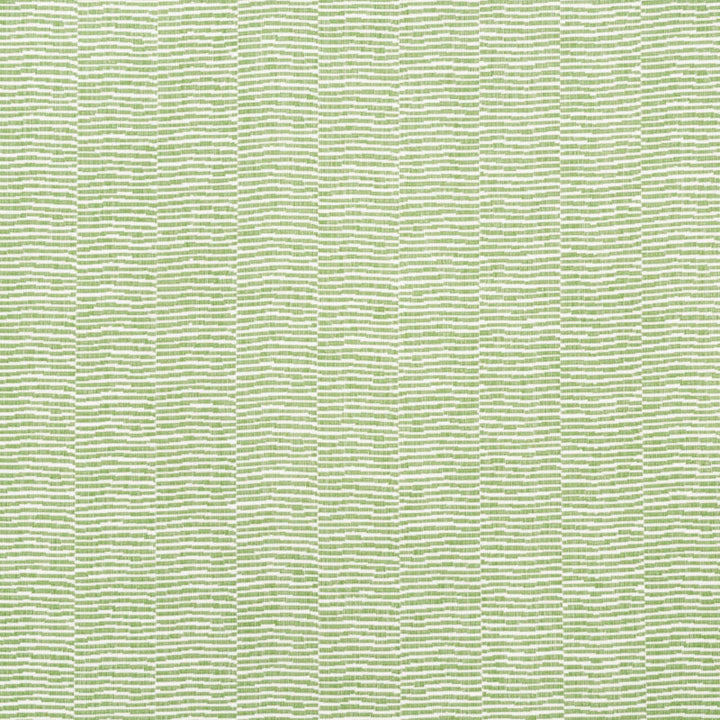 Promenade Indoor/Outdoor Leaf 73131 by Schumacher Fabric Schumacher Fabric Promenade Indoor/Outdoor Leaf 73131Fabric DRALON ACRYLIC 100% FRANCE </p><p>Repeat: H: 0, V: 0 55.875 - Fabric Carolina -
