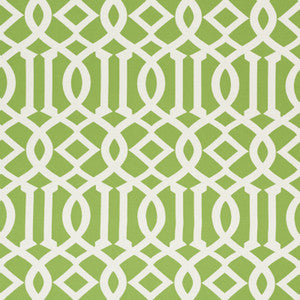 Imperial Trellis Indoor/Outdoor Leaf 73160 by Schumacher Designer Fabric