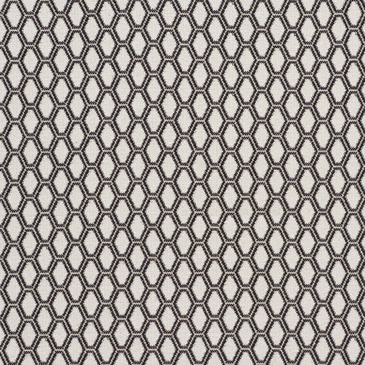 Beehive Graphite 73422 by Schumacher Designer Fabric Happy-Together 72% Cotton, 19% Viscose, 9% Linen Martindale 23,000 Horizontal: 1.5 and Vertical: 1.5 54.5 - Swanky Fabrics -