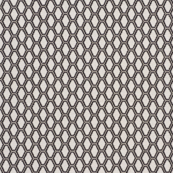 Beehive Graphite 73422 by Schumacher Designer Fabric HAPPY TOGETHER See Sample ITALY - </p><p>Repeat: Horizontal: 1 1/2" (4CM) and Vertical: 1 1/2" (4CM) 54 1/2" (139CM) - Swanky Fabrics -