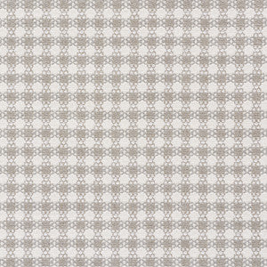 Checkmate Grey 73431 by Schumacher Designer Fabric