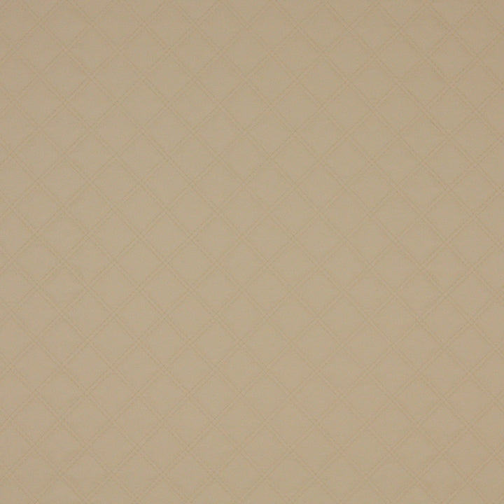 7354 Almond by Charlotte Designer Fabric Ultimate Leather Looks I 90% Virgin Vinyl, 5% Polyurethane, 26oz. Europe Exceeds 200,000 Wyzenbeek Rubs (Heavy Duty) Horizontal: 1.5" x Vertical: 1.5" 54 Inches - Swanky Fabrics -