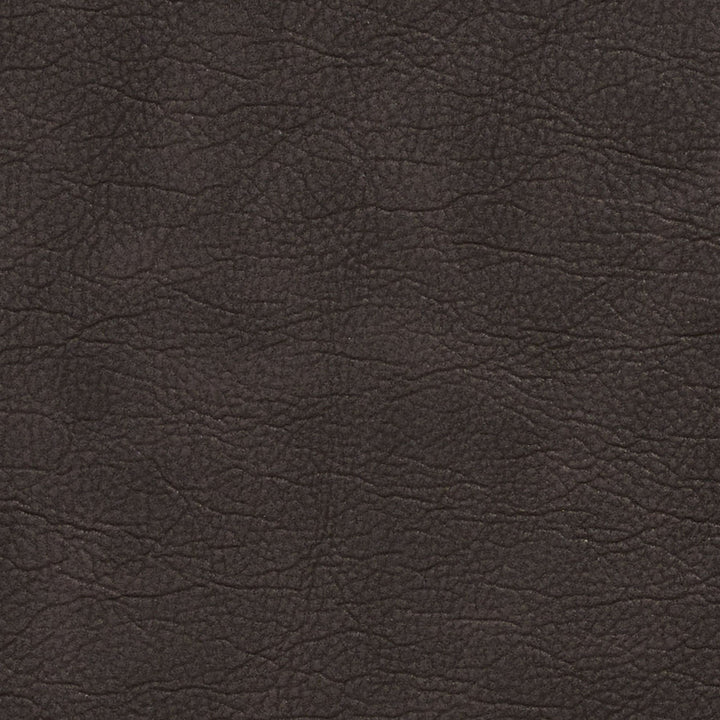 7410 Espresso by Charlotte Designer Fabric Breathables 100% Breathable Polyurethane, 26oz. Asia Exceeds 250,000 Wyzenbeek Rubs (Heavy Duty) No Repeat 54 Inches - Swanky Fabrics -