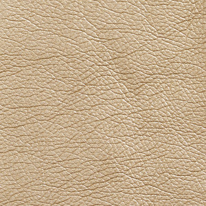 7424 Gold by Charlotte Designer Fabric