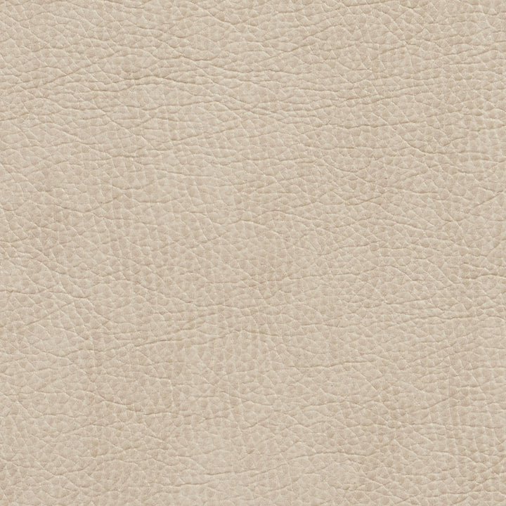 7426 Bone by Charlotte Designer Fabric Breathables 100% Breathable Polyurethane, 26oz. Asia Exceeds 2,000,000 Wyzenbeek Double Rubs (Heavy Duty) </p><p>Repeat: 54 Inches - Swanky Fabrics -